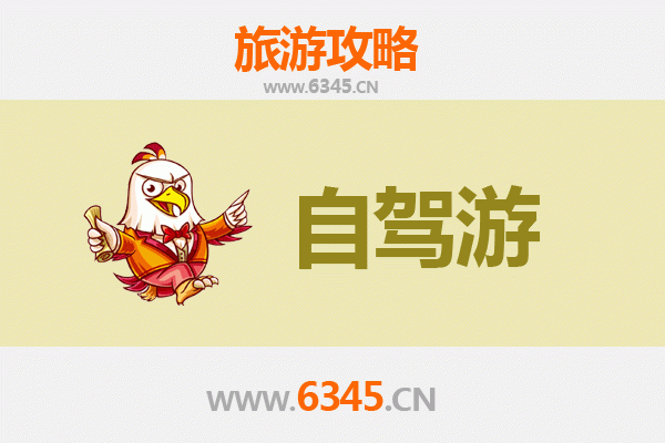 高雄盐埕区自驾游全攻略：穿梭历史与现代的文艺街区